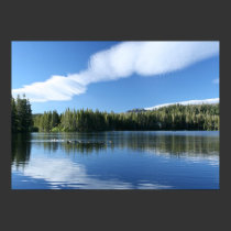 Mountain Lake, Geese posters