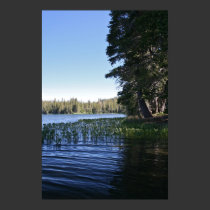 Mountain Lake, Lilly Pads posters