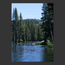 Mountain Lake, Pine Tree Forest posters