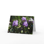 Mountain Laurel in Sunlight Greeting Card