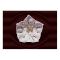 Mountain Laurel porthole ~ ATC card business cards by Andy2302 Mountain Laurel porthole ~ ATC card business cards