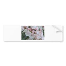 Mountain Laurel Products Bumper Stickers