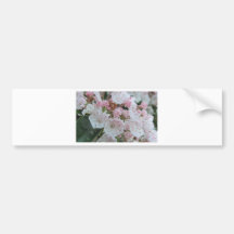 Mountain Laurel Products Bumper Stickers