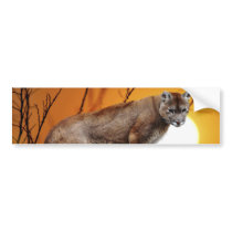 Mountain lion at sunset bumper sticker