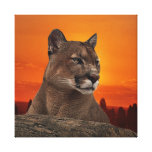 Mountain lion at sunset canvas print