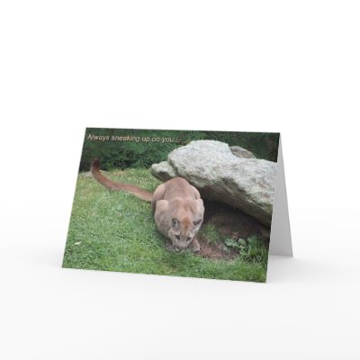 mountain lion birthday card by lisajparker