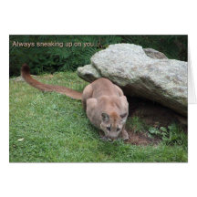 mountain lion birthday card