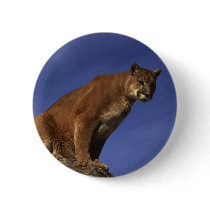 Mountain Lion buttons by alternateworlds Mountain Lion buttons