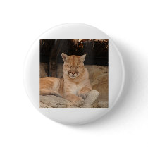Mountain Lion Pinback Buttons