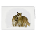 Mountain Lion Cubs cards