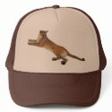 Mountain Lion Hat by norman888 Mountain Lion Hat