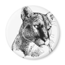 Mountain Lion magnets by WildlifeInk Mountain Lion magnets