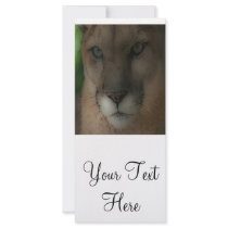 'Mountain Lion on the Hunt' Rack Card Template