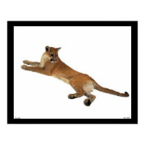 Mountain Lion Poster posters