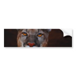 Mountain lion puma bumper sticker