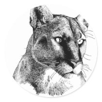 Mountain Lion stickers by WildlifeInk Mountain Lion stickers