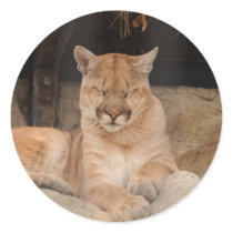 Mountain Lion Stickers