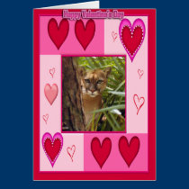 Mountain Lion Valentine Card cards