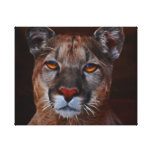 Mountain lions pride gallery wrapped canvas