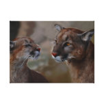 Mountain lions reverence gallery wrapped canvas