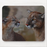 Mountain lions reverence mouse pad