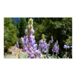 Mountain Lupins Print