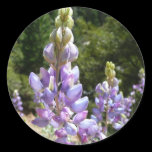 Mountain Lupins Sticker
