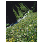 Mountain meadow with creek, British Columbia, Cana Personalized Flyer