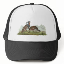 Mountain Quail, John Audubon Hat