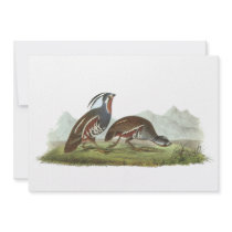Mountain Quail, John Audubon Invitations