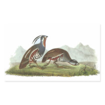 Mountain Quail, John Audubon Sticker