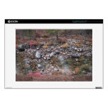 Mountain River skins