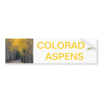 Mountain Road Framed by Golden Aspens Bumper Stickers