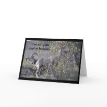 Mountain Sheep Friend Card