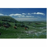 Mountain Side Meadows Photo Sculpture