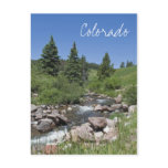 Mountain Stream Colorado Postcard