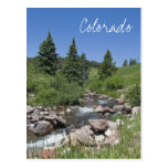 Mountain Stream Colorado Postcard