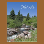 Mountain Stream Colorado Postcard postcards