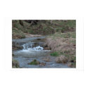 Mountain Stream posters