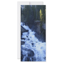Mountain Stream rack cards
