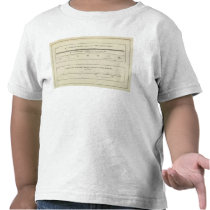 Mountain Structure sections, displacement diagram Shirts