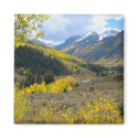 Mountain Valley magnets