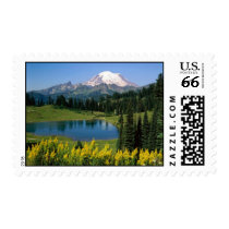 MOUNTAIN VIEW STAMP