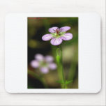 mountain wildflower mouse pad
