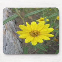 Mountain Wildflower Mousepad mousepads