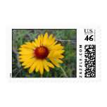 Mountain Wildflower Postage Stamp