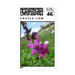 Mountain Wildflower Postage Stamp