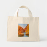Mountains and Waterholes, Bag