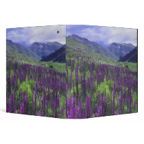 Mountains and wildflowers in alpine meadow, 2 binder