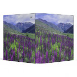 Mountains and wildflowers in alpine meadow, 2 binders